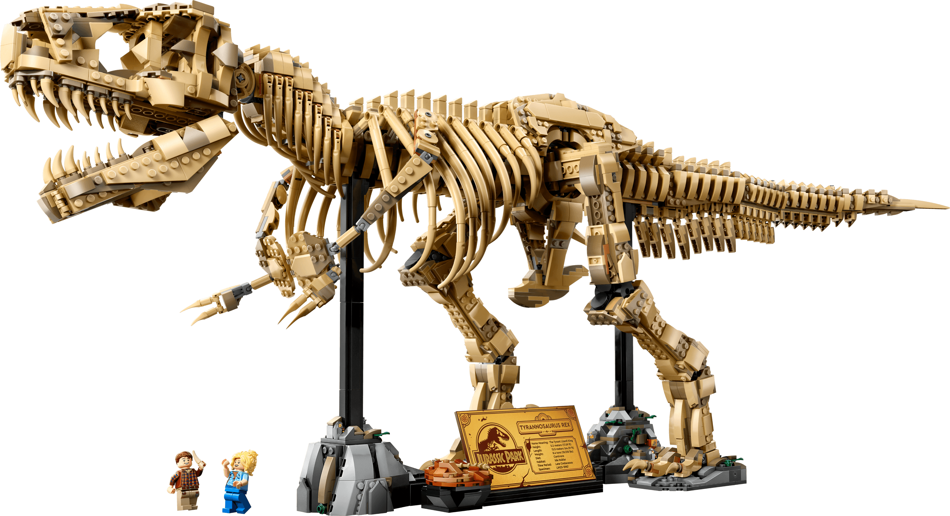 Szkielety dinozaurów: tyranozaur
